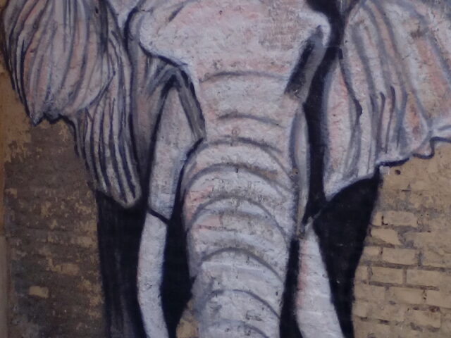 Luis Alberto Álvarez - Bimbo sull'elefante