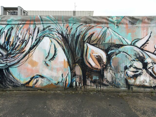 Alice Pasquini – It’s a New Day (2012)