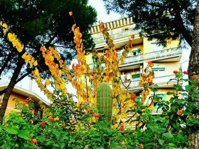 Il giardino tropicale a via dei noci