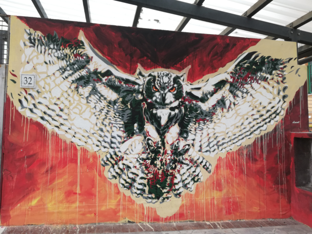 Diavù - Bubo Afrikanus